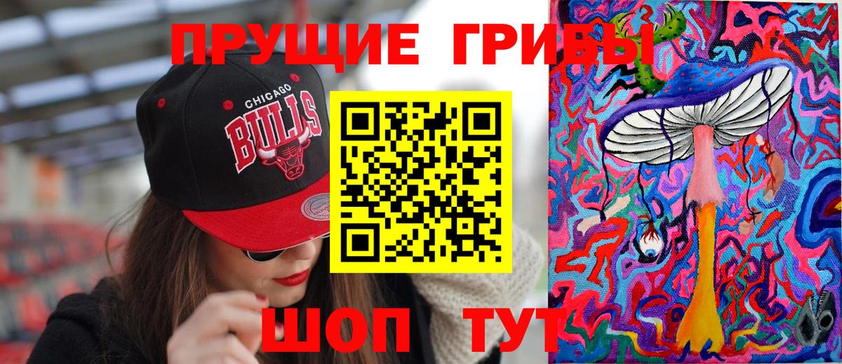 Псилоцибиновые грибы мицелий  Вход с VPN  Кирово-Чепецк  Псилоцибиновые грибы прущие грибы 